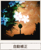 自動補正