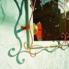 AGFA VISTA100　オリジナル
