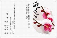 年賀状印刷