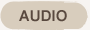 AUDIO