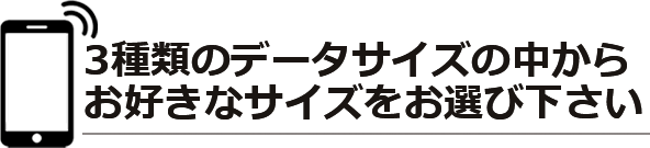 3種類のデータサイズの中からお好きなサイズをお選び下さい