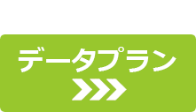 撮影データのみ データプラン