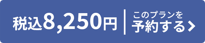税込8,250円 このプランを予約する