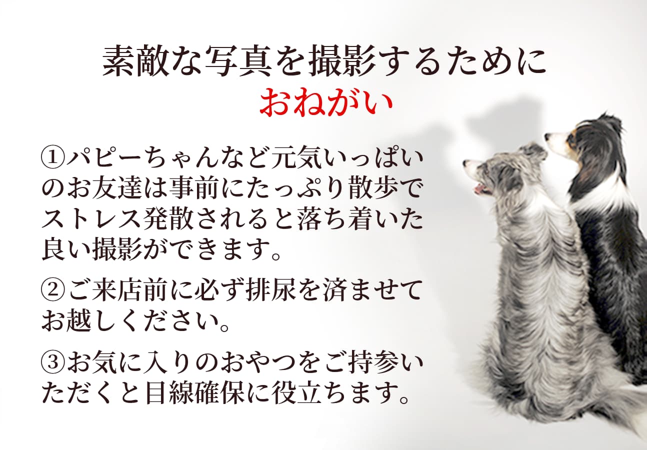 素敵な写真を撮影するためにおねがい 3項目