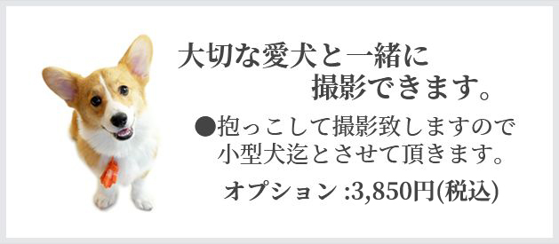 大切な愛犬と一緒に撮影できます。 ●抱っこして撮影致しますので小型犬迄とさせて頂きます。オプション:3,850円 (税込)
