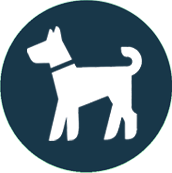 犬アイコン