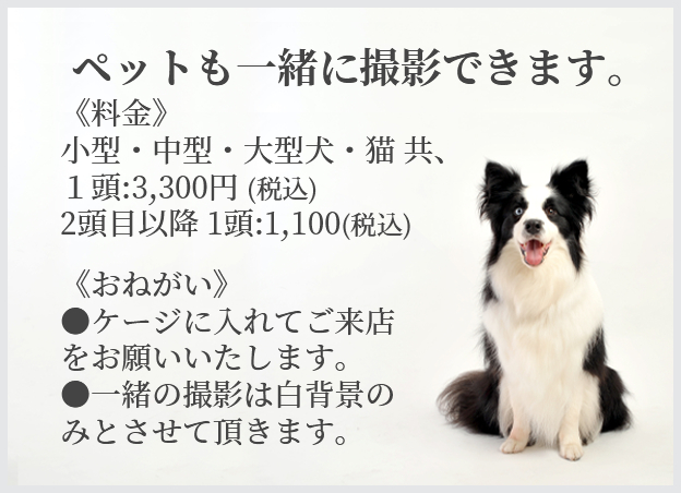 ペットも一緒に撮影できます。 《料金》小型・中型・大型犬・猫 共、１頭:3,300円 (税込) 2頭目以降 1頭:1,100(税込) 《おねがい》●ケージに入れてご来店をお願いいたします。●一緒の撮影は白背景のみとさせて頂きます。